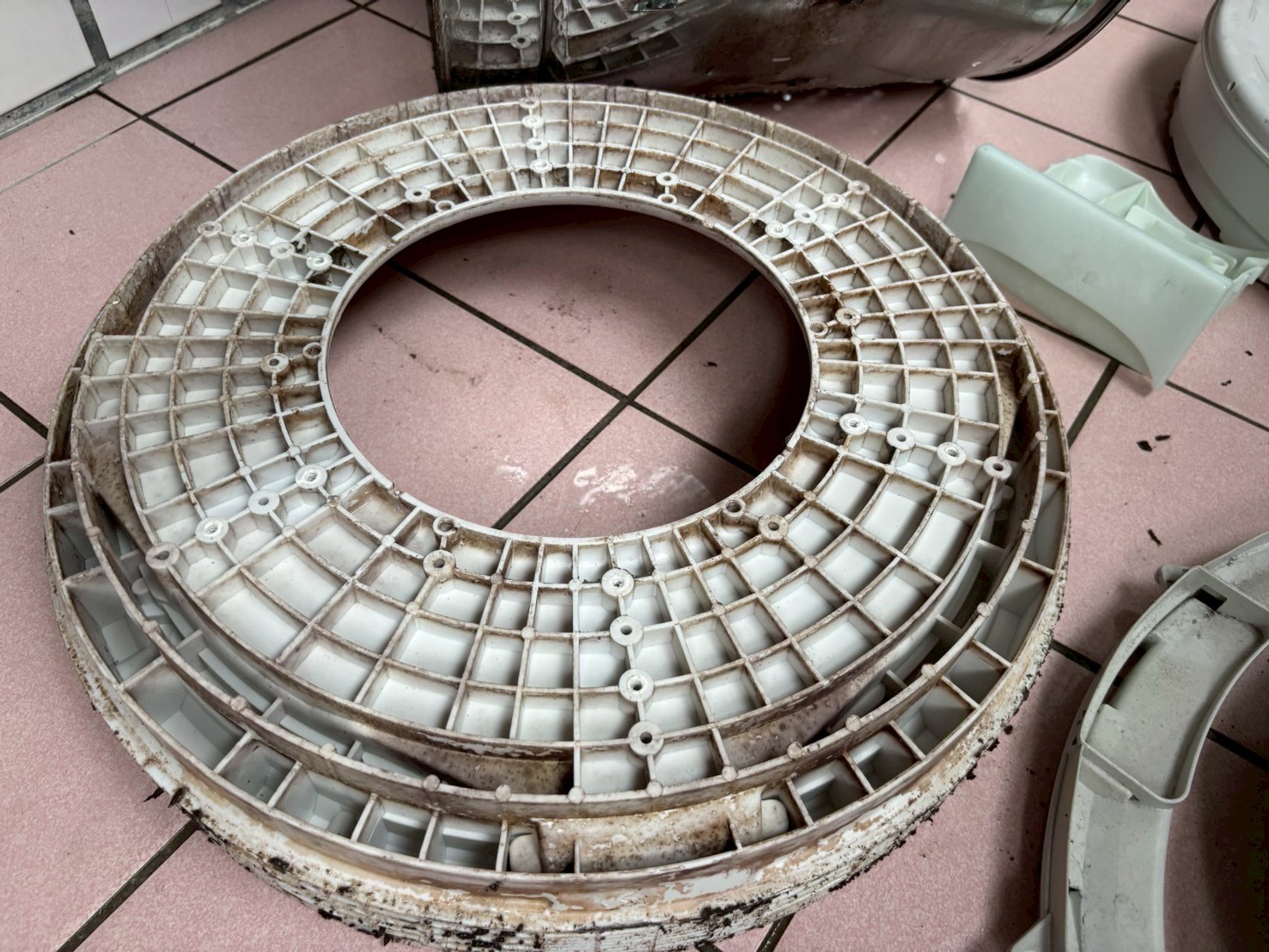 台中西屯直立式洗衣機清洗一台 