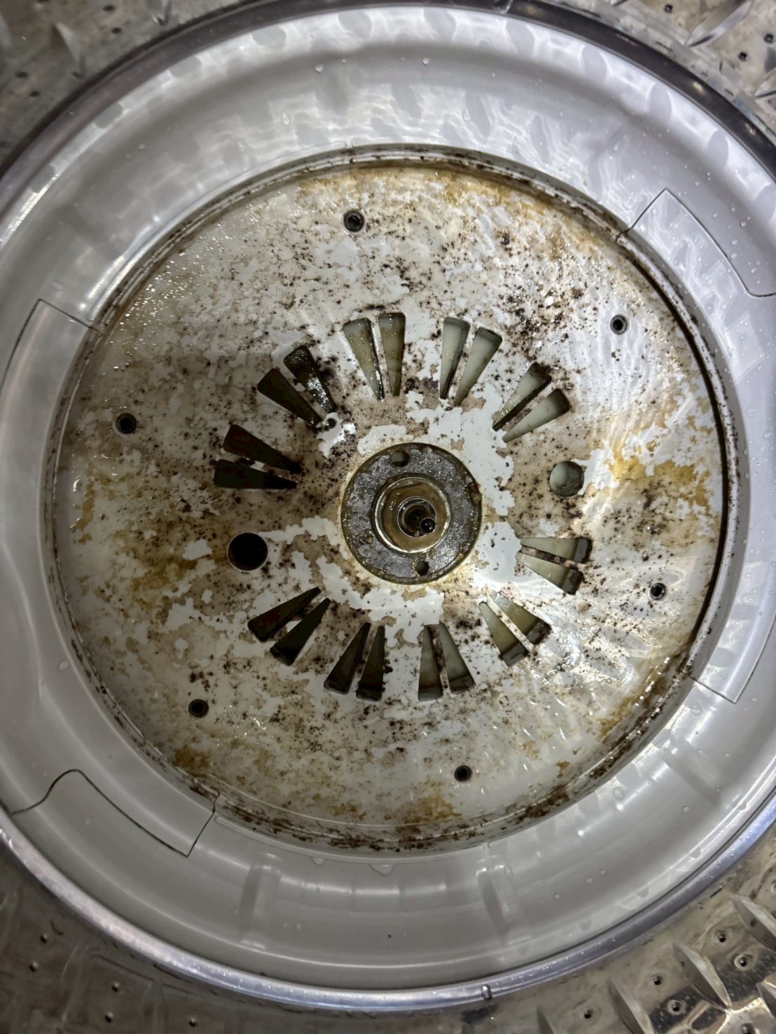 台中西區 直立式洗衣機清洗一台