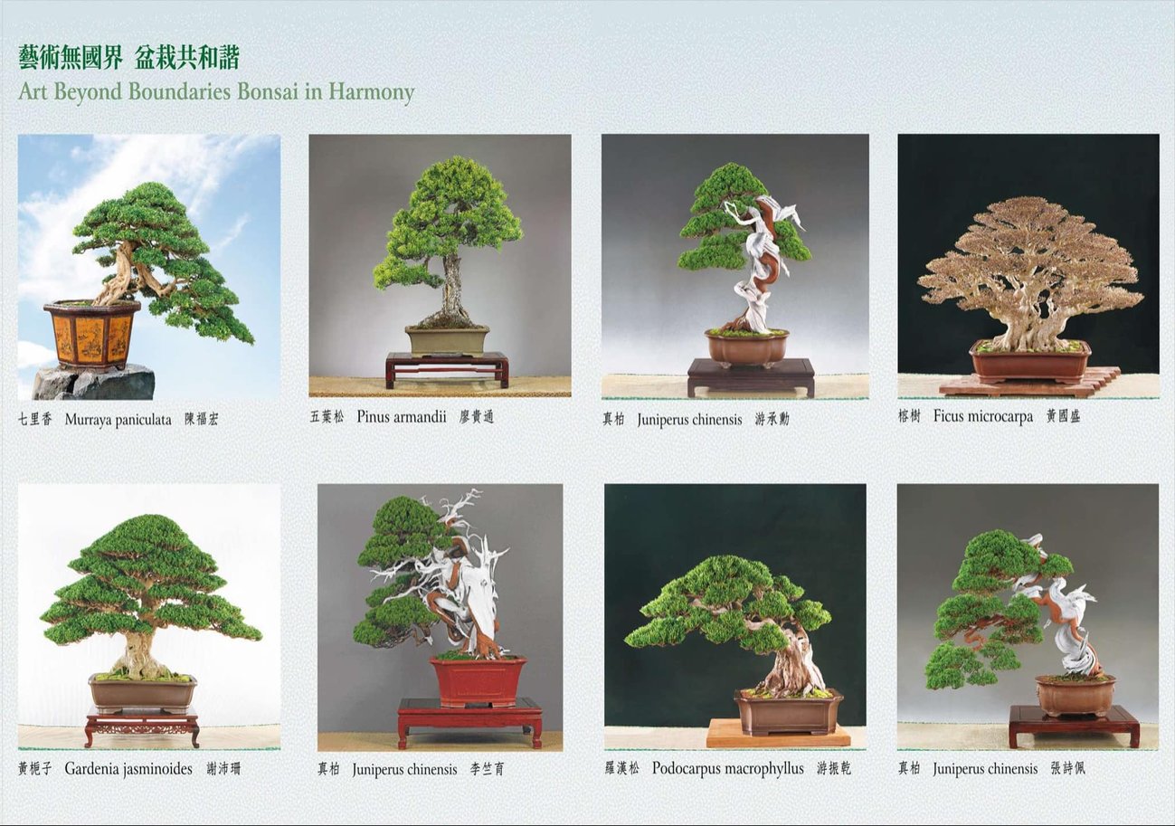 2025WBFF世界盆栽友好聯盟 2025WBC世界盆裁大會 企業官網 台中網頁設計 台中網站設計 彰化網站設計 彰化網頁設計 草屯網頁設計 草屯網站設計 南投網頁設計 南投網站設計 寇德網頁設計 寇德網路科技有限公司