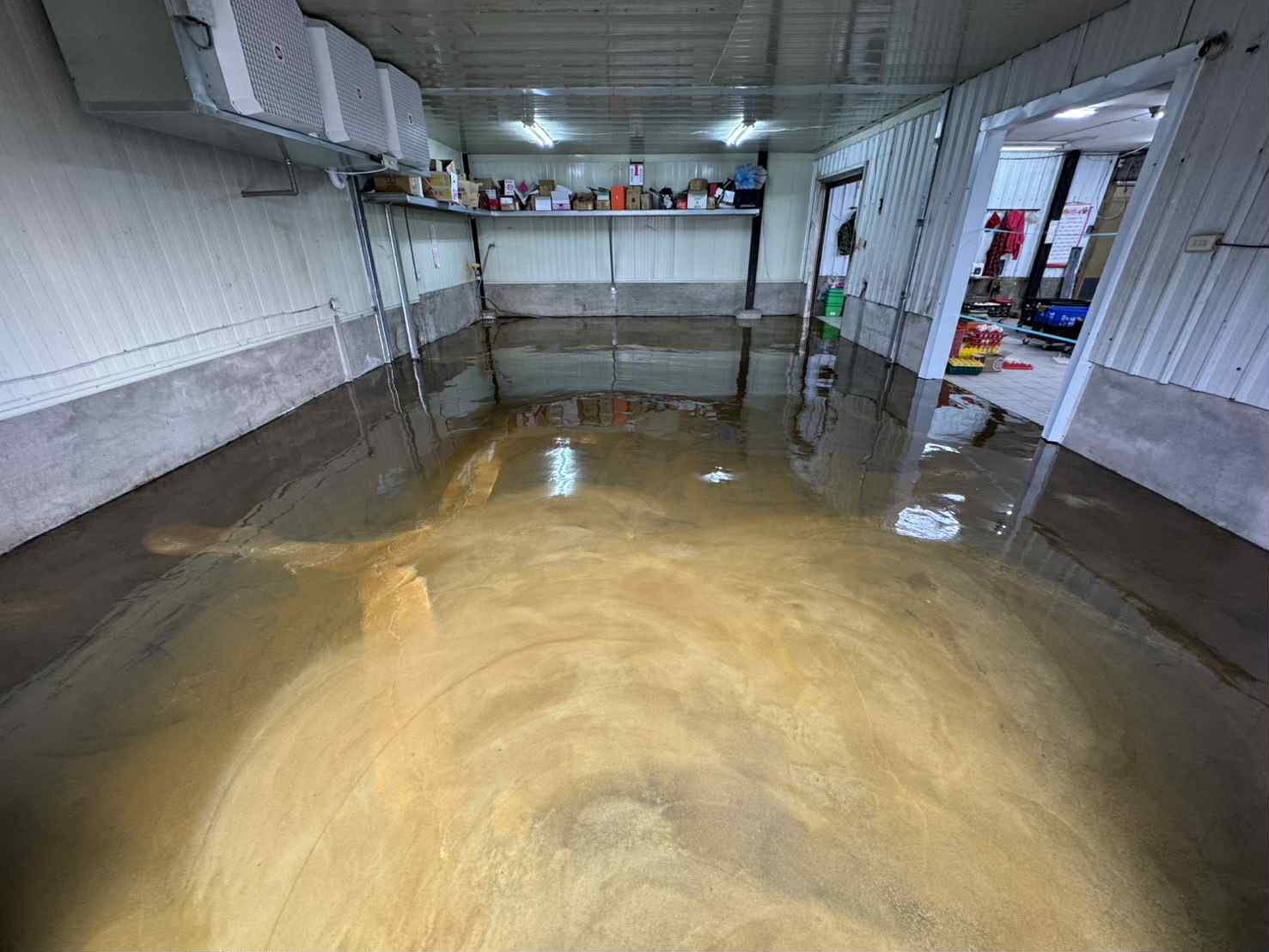 台南孵蛋場流展型EPOXY地坪