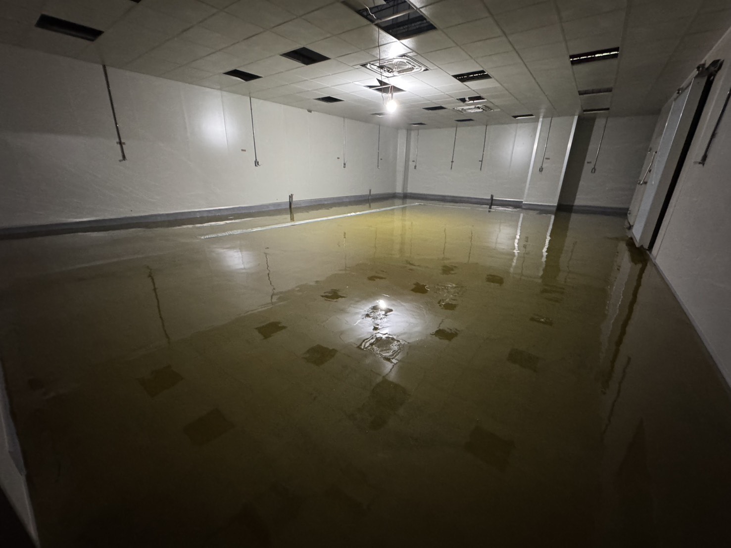 彰化員林 好果食品廠 流展型EPOXY地坪