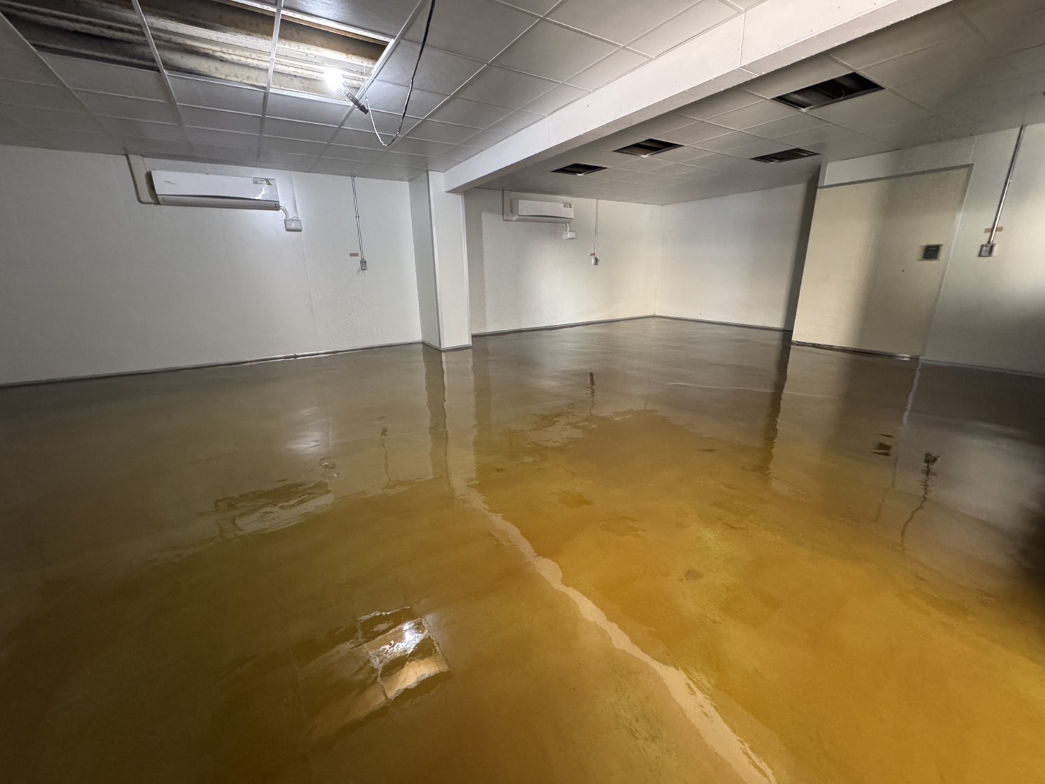 彰化員林 好果食品廠 流展型EPOXY地坪