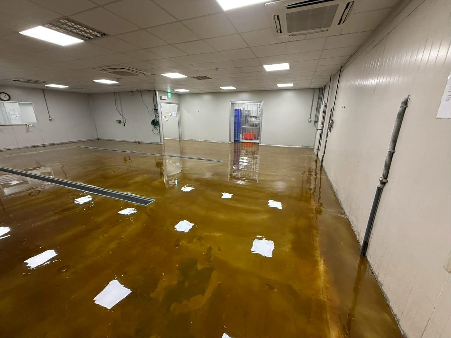 彰化寵物飼料廠流展型EPOXY地坪